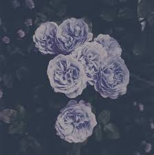 Image result for flowers tumblr