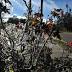 Freeze Watch issued for Northeast Florida and Southeast Georgia