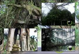 Hasil gambar untuk tempat teraneh di indonesia