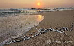 경포해변