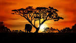 African Landscapes - Environment - explore