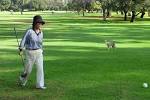 Griffith park golf lessons