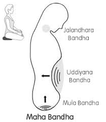 「mula bandha」的圖片搜尋結果