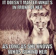 He/she lion quote | Lions | Pinterest | Lion, Lion Quotes and Lion ... via Relatably.com