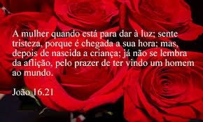images?q=tbn:ANd9GcRPCIasjMEyeraOY7On_k1