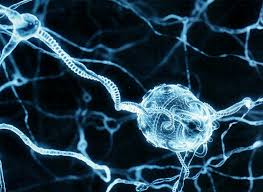 Image result for nanotechnology