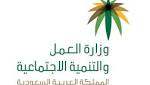 «العمل»: 59479 جولة تفتيشية على