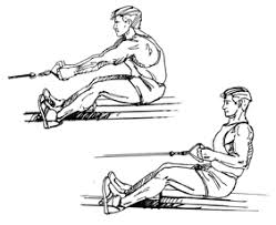 Image result for cable row