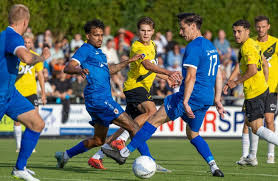 Brabants Dagblad - News update