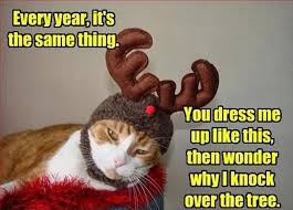 Image result for cats christmas revenge