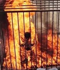 داعشی‌های زنده زنده در موصل سوزانده شدند 
