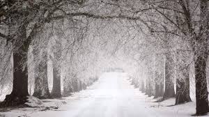 Vremea în februarie. ANM avertizează că poate fi o lună imprevizibilă, cu contraste și variații…