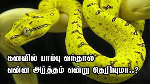 கனவுகளும் பலன்களும் க்கான பட முடிவு