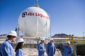 Air Liquide Medical Systems Company Profile: Valuation, Funding