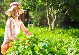 Image result for fruits and vegetable that cure infection in women