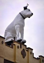 Image result for nipper albany