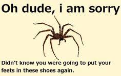 Scared Of Spider Funny Quotes. QuotesGram via Relatably.com