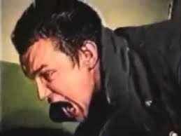 images?q=tbn:ANd9GcRPzphB9o9Ov3q6Jn0e5Xn8gwEKmSX-Z7GlGPm1NkT4-fj-8Cg8