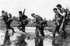 Image result for crossing a swamp
