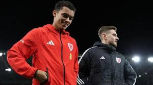 Wales Aims for World Cup Playoff Home Advantage