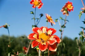 NYT Mini Crossword Answers and Hints for February 2026