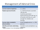 Corticosteroid Conversion Calculator - m