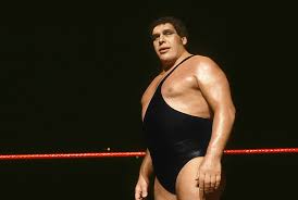 Andre the Giant to be honored with historical marker near his North Carolina ranch