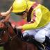 Shinn aiming to Capitalise on  Gold Coast