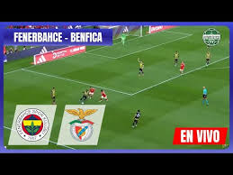 Fenerbahce vs. Benfica en vivo: transmisi&oacute;n por playoffs de UEFA Champions League