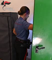 Ferrara 24ore - News update