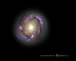 Image result for ngc 3314 galaxy