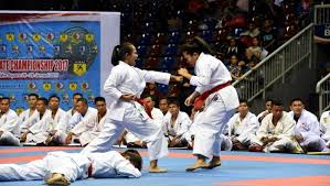 Hasil gambar untuk olahraga karate