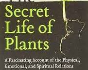 Secret Life of Plants kitabı