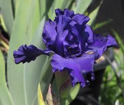 Comed y vest&iacute;os, buscando primero el Reino (que est&aacute; en la Patera) | Imagen 4