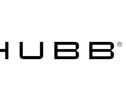 Image of Chubb company logo