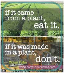 Simple tips for eating healthily | Body Unburdened via Relatably.com