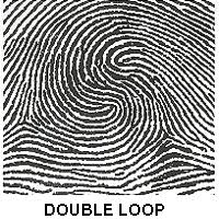 Résultat de recherche d'images pour "fingerprint types"