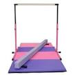 My home gymnastics equipment! -