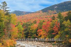 Small Earthquake Shakes Southern New Hampshire