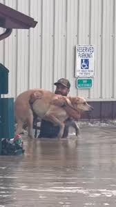 Oh my prayers , Landon and I are driving to camp down by ...