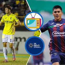 Dónde ver Venados vs Atlante EN VIVO: horario, canal y pronóstico de la Jornada 12 de la Liga de Expansión MX 2026
