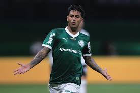 Palmeiras vs Junior: Copa Libertadores Showdown