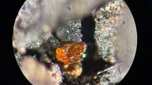 அறிவியல் பேசுவோம் (Ariviyal Pesuvom): 19.11.2024 இந்த வார முக்கிய அறிவியல் செய்திகளின் சுருக்கம் (summary of this week's top science news) - https://bookday.in/