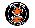Week 14 Primer: Pittsburgh Steelers (7-5) at Cincinnati Bengals (10-2) - Cincy Jungle