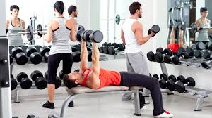 Image result for gimnasio