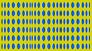 [Image: images?q=tbn:ANd9GcRR3JIJNAmjFgAQL6InGPt...idMYtG-8ug]