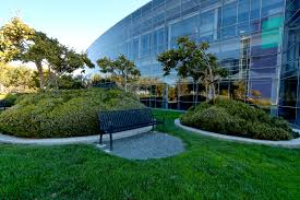 Image result for google campus