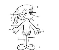 Resultado de imagen para cuerpo humano
