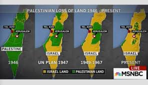 Image result for palestine