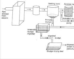 Gambar simple diagram showing the wastewater treatment process using UV, including primary treatment, secondary treatment, and UV disinfection